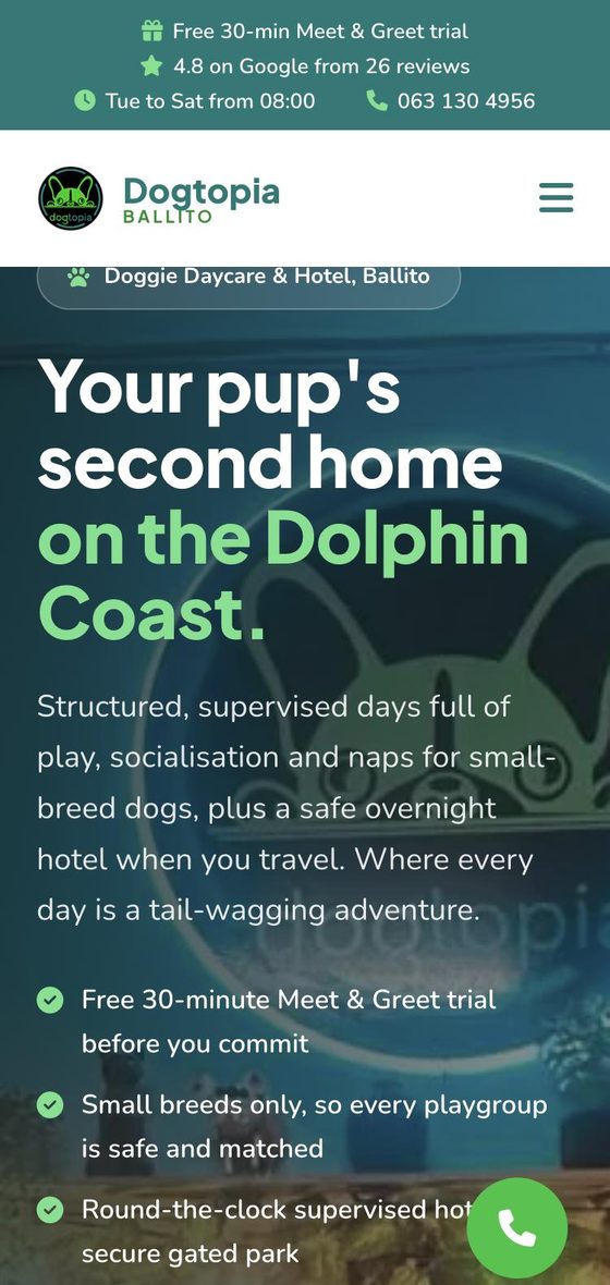 Dogtopia Ballito website on a phone